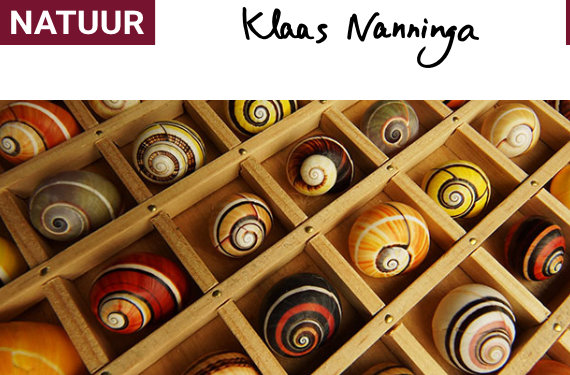 Klaas Nanninga